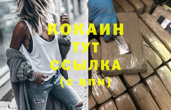 индика Алзамай