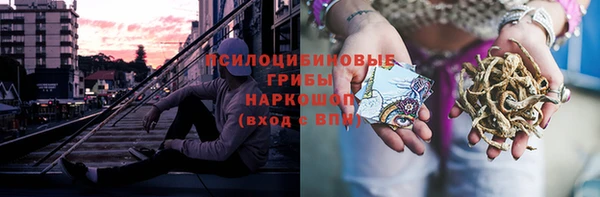 тгк Алексин
