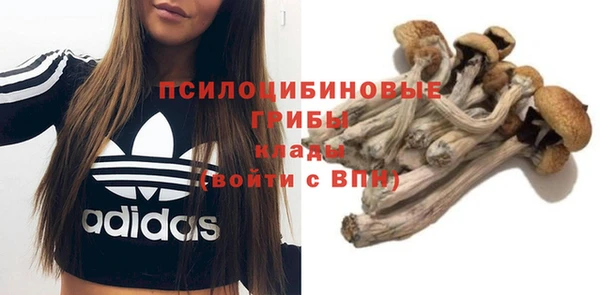 тгк Алексин