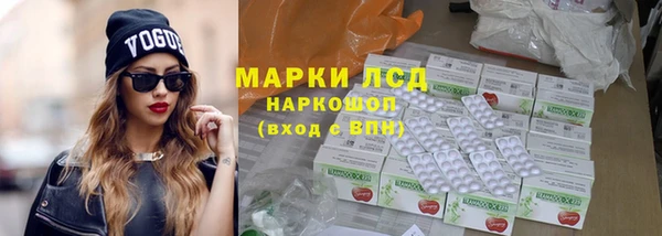 индика Алзамай