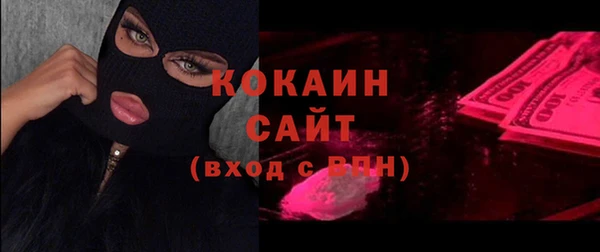 индика Алзамай