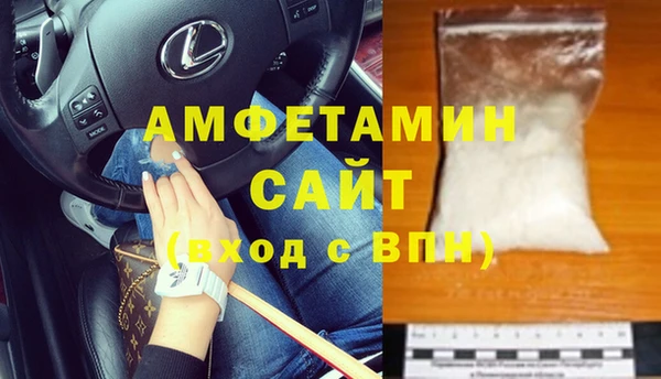 индика Алзамай