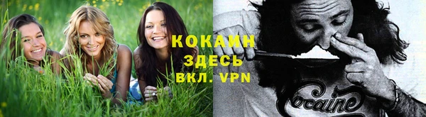 PSILOCYBIN Алексеевка