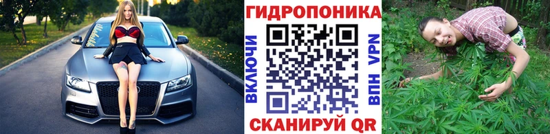 МАРИХУАНА SATIVA & INDICA  Купить где  Старая Русса 